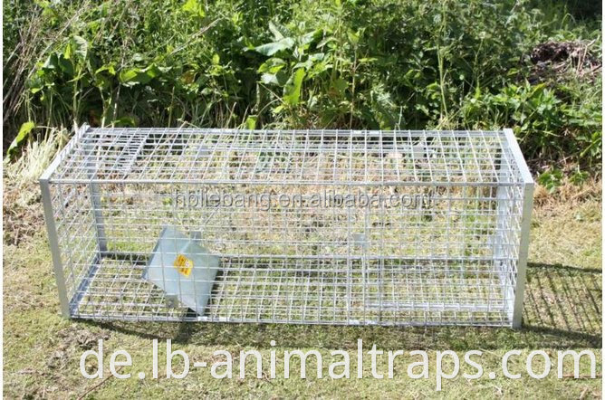 Hot Sale Live Catch LIEBANG HEADERTAG 60x18X20 Zoll Fuchs Wildschweinkäfigfalle zum Verkauf